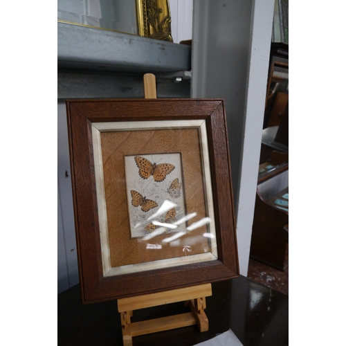 2139 - A pair of Victorian oak framed butterfly prints