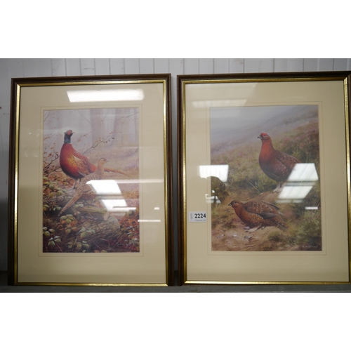 2224 - A pair of grouse and pheasant prints