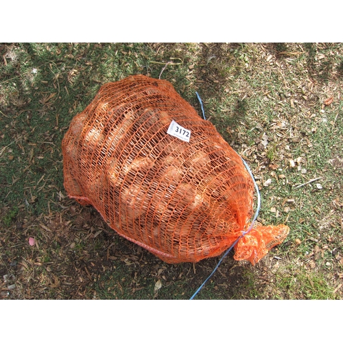 3172 - Approx. 5kg Daffodil bulbs 