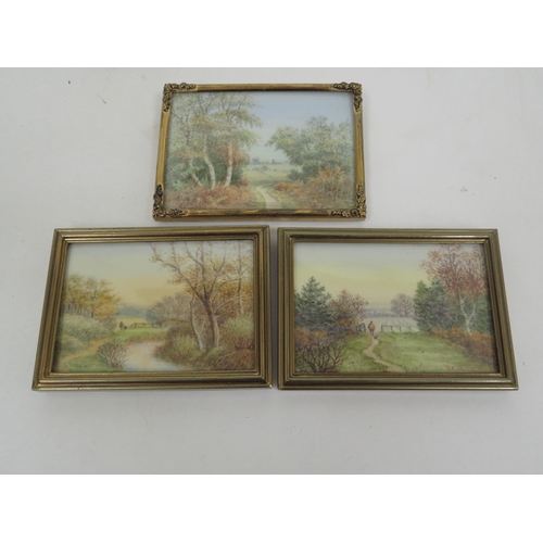 6276 - STEPHANIE E WALTERS (xx local artist ) six miniature painting depicting local scenes including the r... 