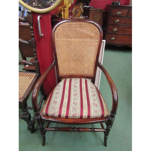 4126 - A circa 1900 mahogany and ash open armchair with caned backrest and bentwood arms on outswept turned... 