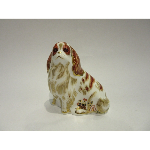 4409 - A Royal Crown Derby Cavalier King Charles Spaniel paperweight, gold stopper, 10cm tall