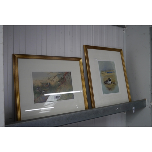 2117 - A pair of limited edition bird prints after A.Thormburn