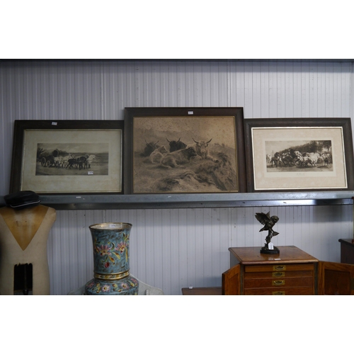 2174 - A pair of black and white prints of equestrian scenes, together with another of cattle, oak framed