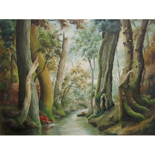 4057 - S.V. GILBERT (Essex painter): Oil on canvas of fox drinking from a river passing through woodland.  ... 