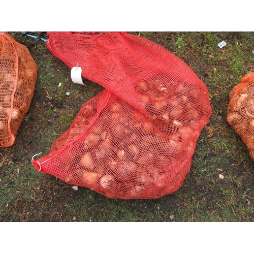 3202 - Approx. 5kg Daffodil bulbs 