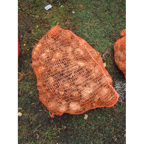 3203 - Approx. 5kg Daffodil bulbs 