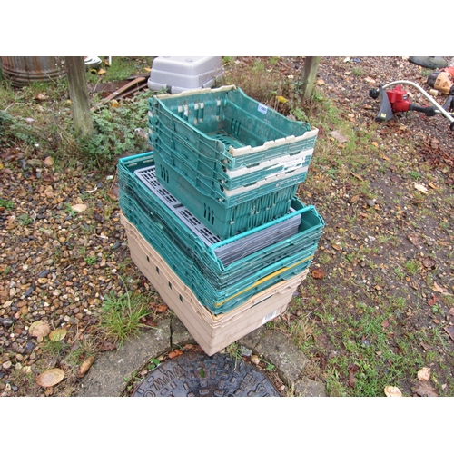 3361 - A quantity of plastic crates