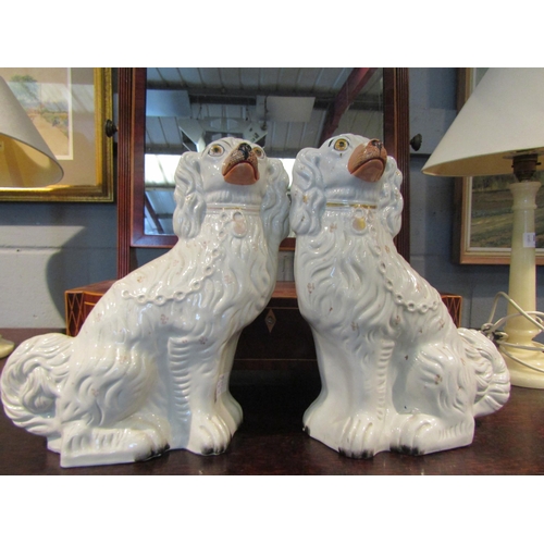 1079 - A large pair of seated King Charles spaniels, with painted faces and gilt highlights, 31cm tall