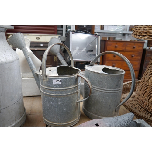 2020 - Two galvanized watering cans with roses