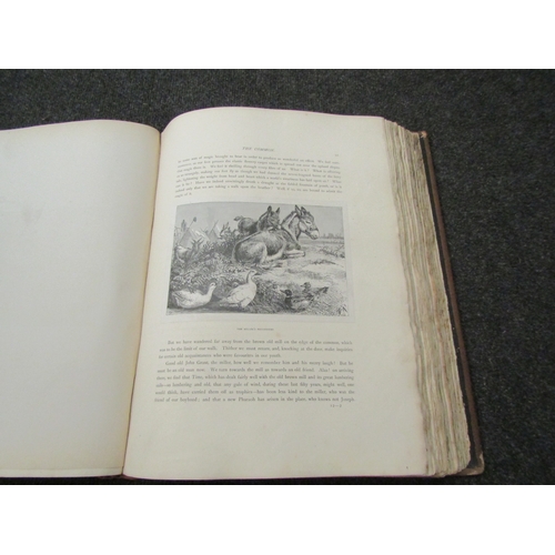 1462 - Two illustrated 19th century folio volumes, including Seguin's Rural England, number 193 of 300 copi... 