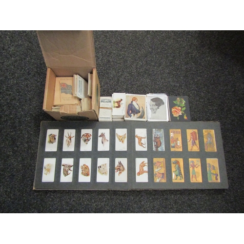 1495 - An album of cigarette cards and small box of loose cards, subjects include dogs, birds, roses, sport... 