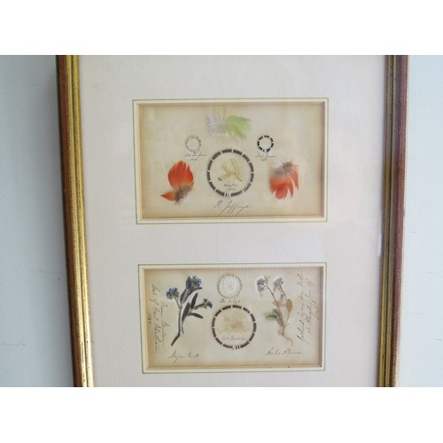 6084 - Three 19th Century framed memorial hair hoops from an album. Missionary botanist based in China, fro... 