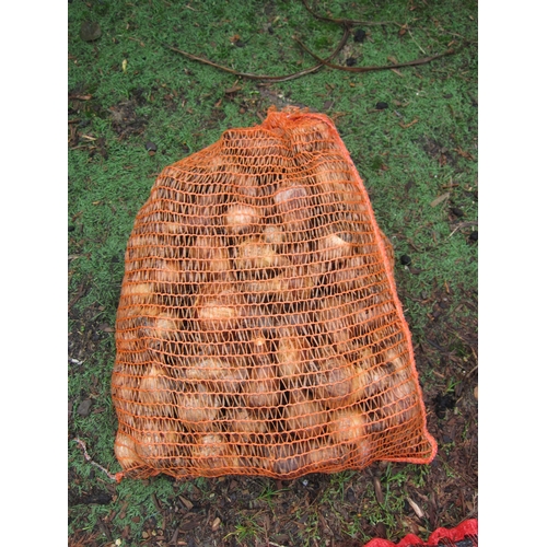 3195 - Approx. 5kg mixed Daffodil bulbs