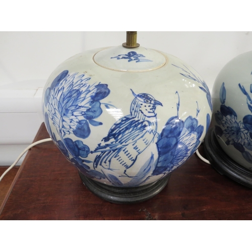 6064 - A pair of blue and white ginger jars as table lamps with blossom, bird and leaf decoration, circular... 