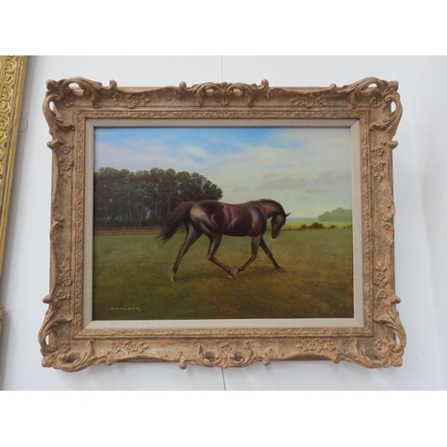 6100 - GERALD COULSON (1926-2021): An oil on canvas, horse in field, 44.5cm x 59.5cm, classical frame