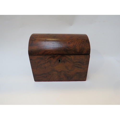 6014 - A 19th Century walnut domed top tea caddy, 14.5cm x 17.5cm x 12.5cm