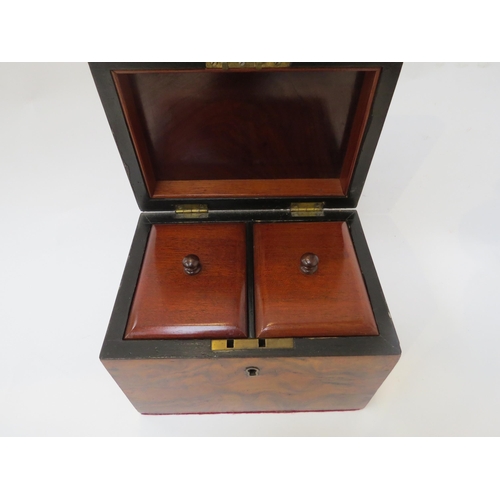 6014 - A 19th Century walnut domed top tea caddy, 14.5cm x 17.5cm x 12.5cm