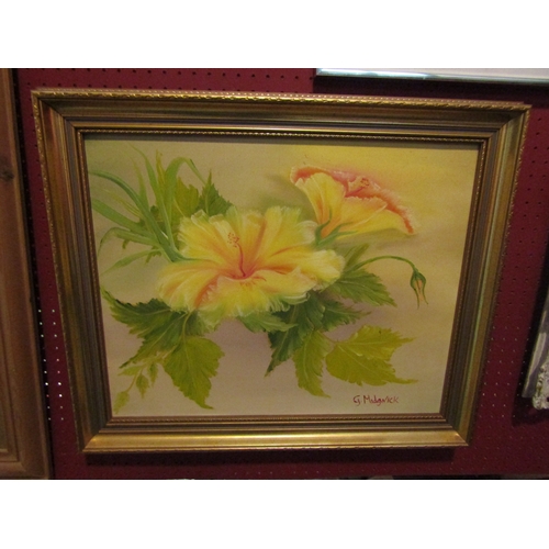 4174 - G.A.MADGWICK: Two framed oils on canvas, one depicting blue moonflower vines, signed bottom left, 50... 