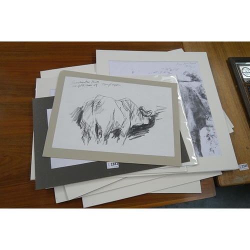 2383 - A bundle of loose prints, Bull sketches