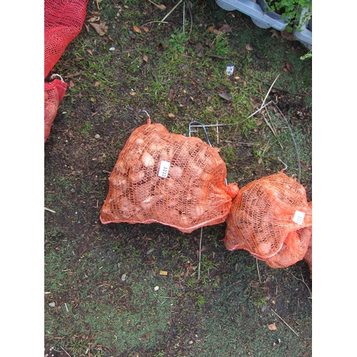 3222 - Approx. 5kg mixed Daffodil bulbs