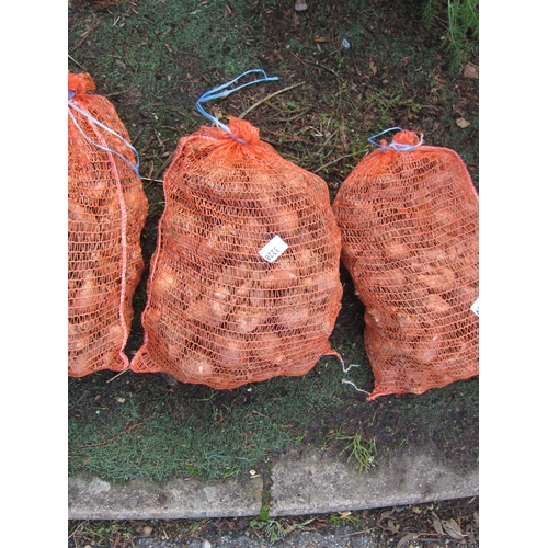 3228 - Approx. 5kg Daffodil bulbs 