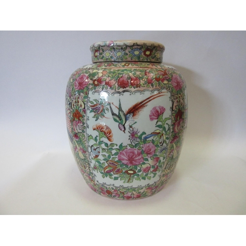 1337 - A large Chinese Famille rose ginger jar painted flora and fauna design throughout with panels depict... 