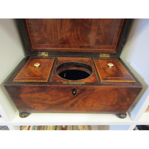 1266 - A Victorian flame mahogany sarcophagus tea caddy with brass handles on bun feet