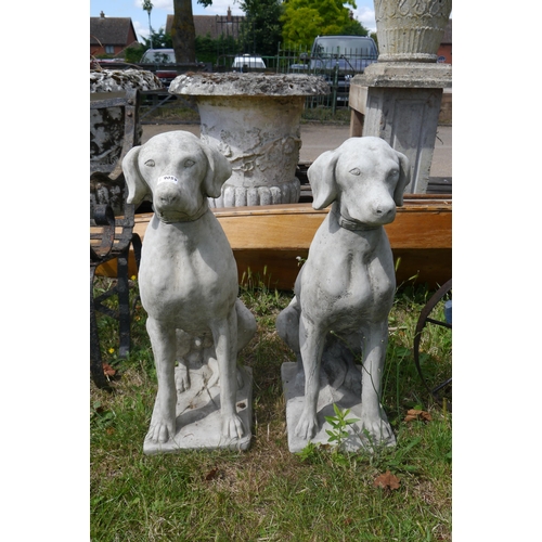 8053 - A pair of seated compostion hounds, 28