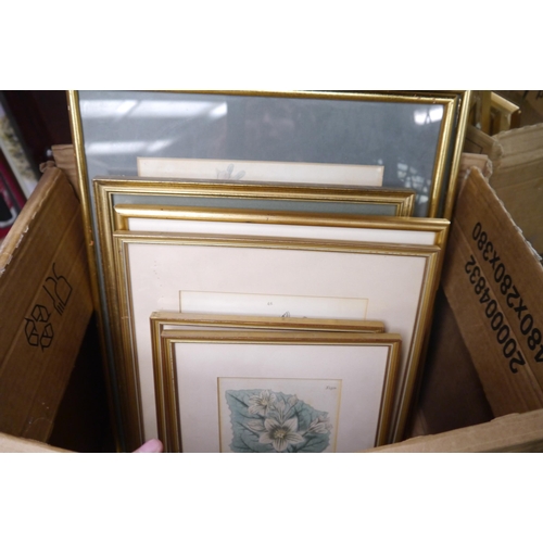 2458 - A box of botanical prints