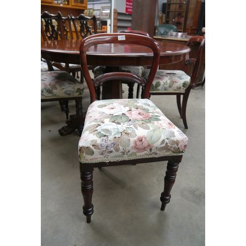 2473 - Four early Victorian mahogany balloon back chairs