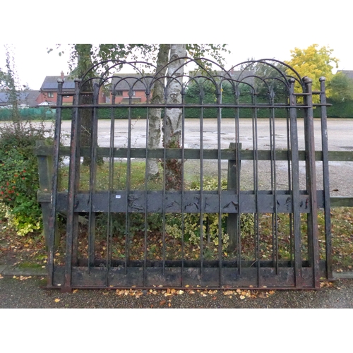 8001 - A pair of cast iron hoop and spike top drive gates, 209cm x 195cm each gate