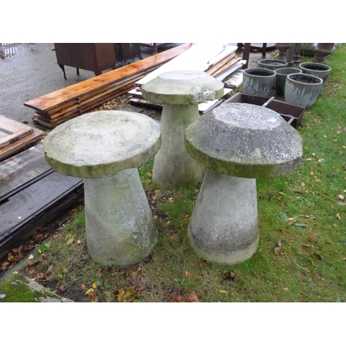 8046 - Three staddle stones with caps