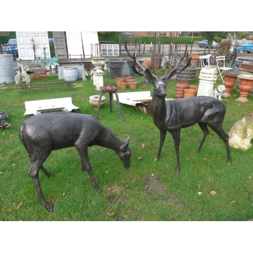 8203 - A pair of bronzed aluminium standing study of a stag and doe