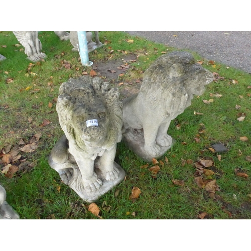 8210 - A pair of weathered recomnstituted garden lions, 66cm tall