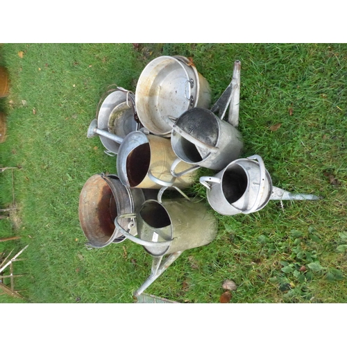 8325 - A quantity of galvanised buckets and watering cans including Beldray