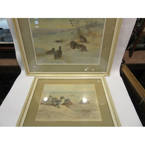 4416 - After Archibald Thorburn: Two prints depicting partridges and pintails in a naturalistic environment... 