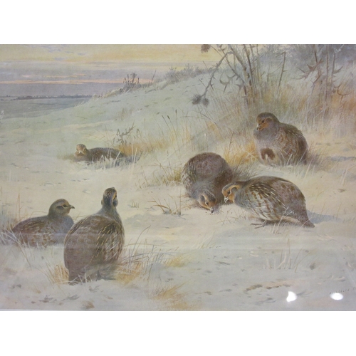 4416 - After Archibald Thorburn: Two prints depicting partridges and pintails in a naturalistic environment... 