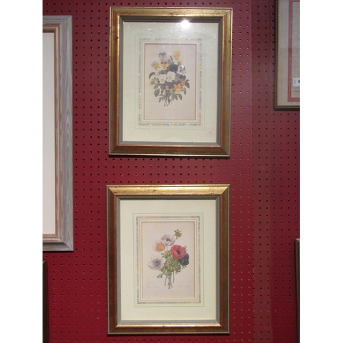 4092 - A pair of Natural History Museum floral bookplate prints, anemones and pansies, framed and glazed, 1... 