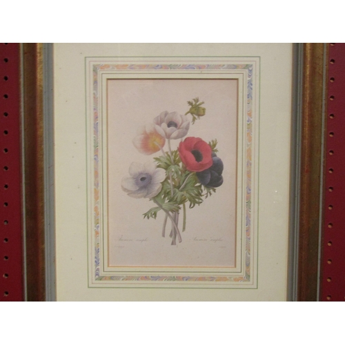 4092 - A pair of Natural History Museum floral bookplate prints, anemones and pansies, framed and glazed, 1... 