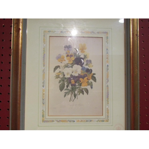 4092 - A pair of Natural History Museum floral bookplate prints, anemones and pansies, framed and glazed, 1... 