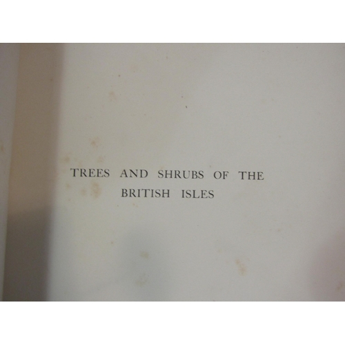 4130 - Two volumes of 'Trees & Shrubs of the British Isles Native & Acclimatised' by C.S Cooper, F.R.H.S. a... 