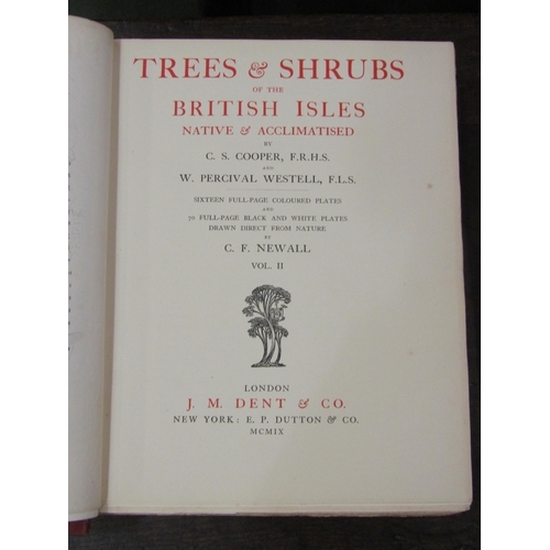 4130 - Two volumes of 'Trees & Shrubs of the British Isles Native & Acclimatised' by C.S Cooper, F.R.H.S. a... 