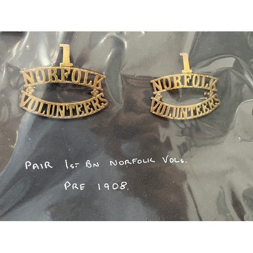 9439 - A pair of 1st Norfolk Volunteers brass shoulder titles circa WWI, both with loops