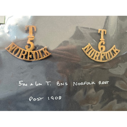 9438 - Four Norfolk Territorial Battalion brass shoulder titles to 4th, 5th and 6th, post 1908, each with t... 