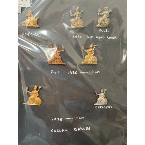 9437 - NORFOLK REGIMENT INTEREST: Seven Norfolk and Royal Norfolk Regiment collar badges including Voluntee... 