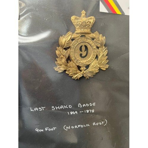 9435 - NORFOLK REGIMENT INTEREST: Two 9th Regiment of Foot shako plate restrikes, both with lug fittings