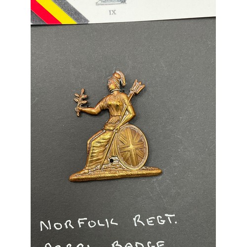 9432 - NORFOLK REGIMENT INTEREST: Three Norfolk Regiment brass Pagri badges, thought to be Boer War era, on... 