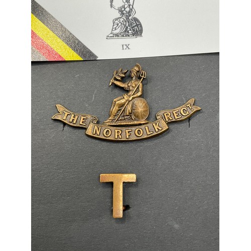 9428 - NORFOLK REGIMENT INTEREST: Three Norfolk Regiment collar badges circa 1902-1919, one with 'T' badge ... 