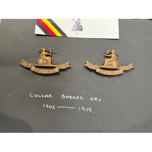 9428 - NORFOLK REGIMENT INTEREST: Three Norfolk Regiment collar badges circa 1902-1919, one with 'T' badge ... 